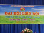 Hình đội TNTP năm 2016