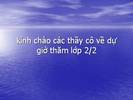 tim ngoc